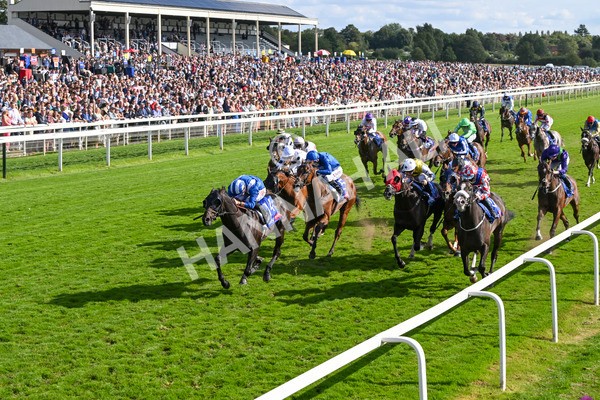 240824-Race 5-Elmonjed-1755 - Race 5 4.10pm Sky Bet Constantine Handicap