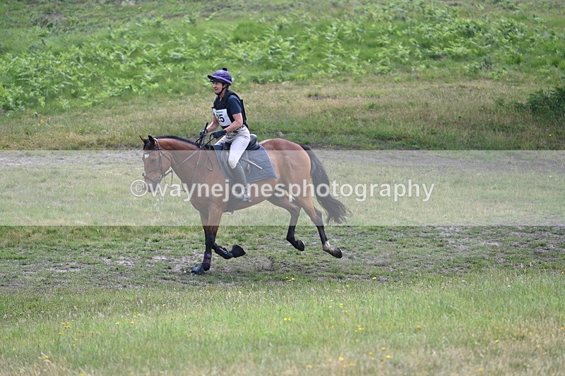 WJ7_9762 - Time 12:15 to 12:44