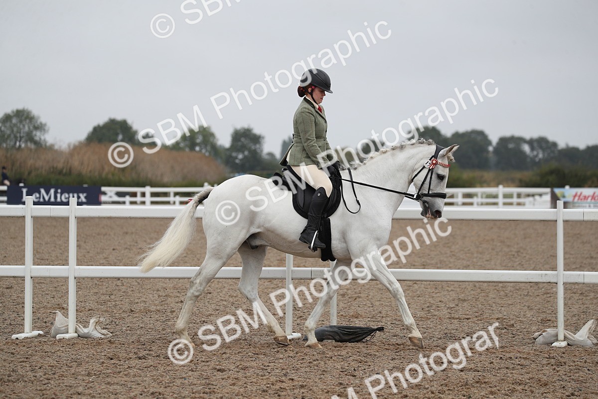 SBM_21916 - Class 603 - 2025 Area Ridden Pre Vet