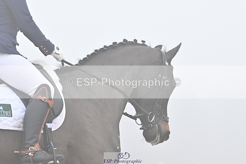 240217A-125538-02326 - 185-Tyler.Bradshaw-JΓÇÖadore