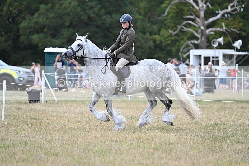 WJ7_5039 - Class 12 Ridden Cob
