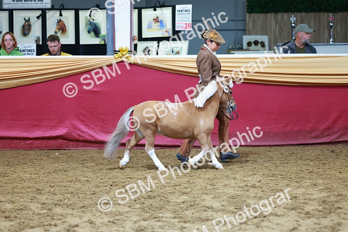 SBM_16026 - Class 901 - Sup Final - IH Diamond