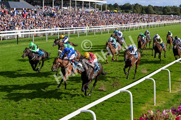 240824-Race 6-Tropical Storm-1850 - Race 6 4.45pm Julia Graves Roses Stakes