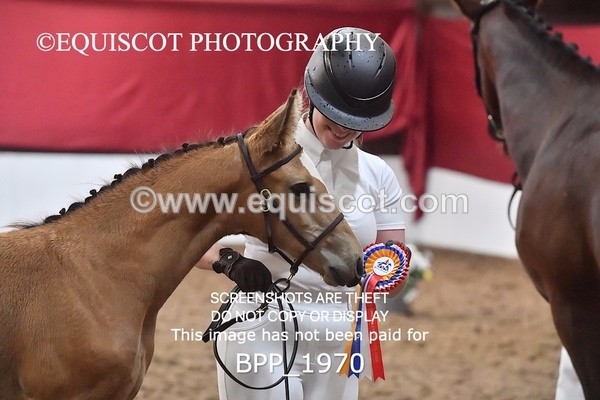 BPP_1970 - AFTERNOON 12.30 - 3.30PM