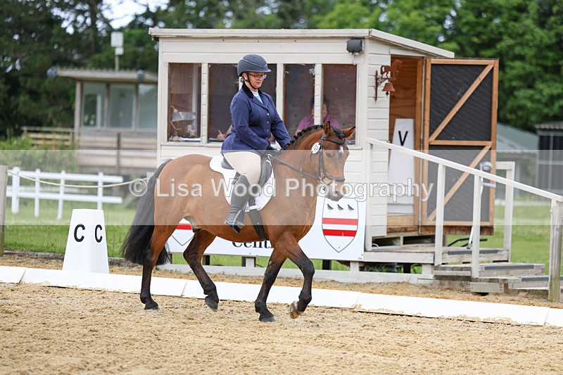 3E7A9547 - Class 2: Intro 1 2024 Section B