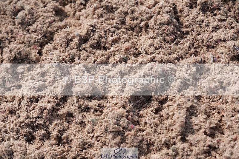 250608-094654-01772 - Cls 4 Pony British Novice and 80cm