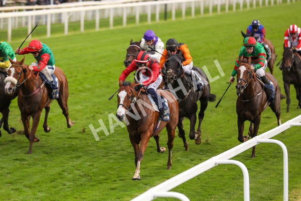 131023-Race 4-Hafeet Alain-9814 - Race 4 3.50pm William Hill Autumn Mile Handicap