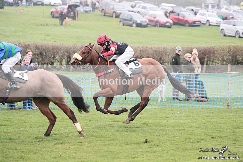 PR PtP 080326 236 - Guilsborough Pony Races 08/03/26