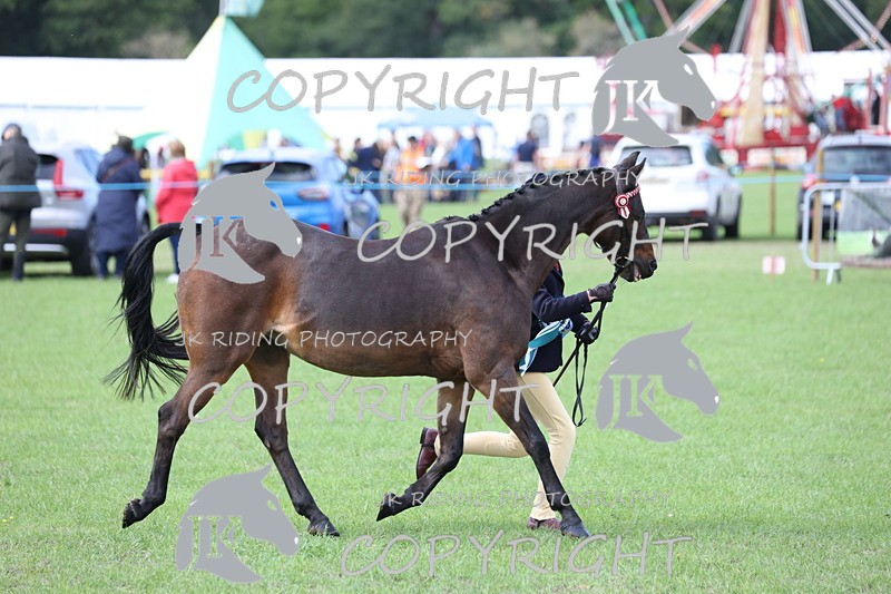 APP_2678 - Class 9 Veterans in hand