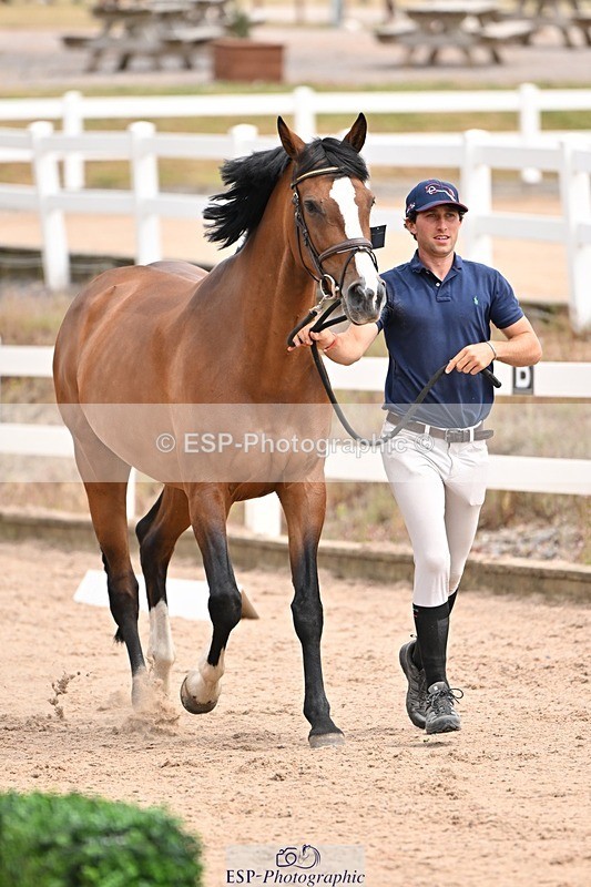 250716-150831-01670 - Trot Up 2.30 to 3.30