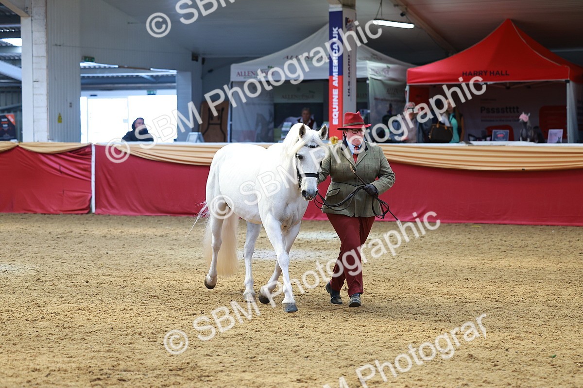 SBM_04134 - Class 9R - IH Pre-Vet