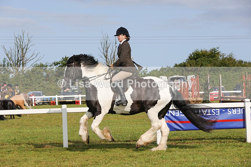 1X9A3149 - Class 27:  Ridden Native/Trad Coloured Horse