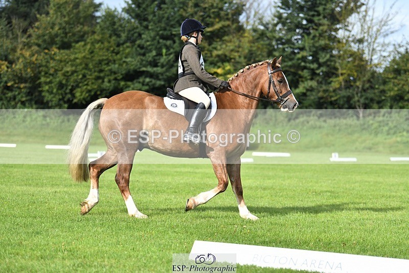 230826-091107-15042 - Sections C & D 9 to 10am