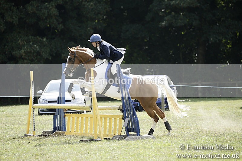 BVR090918 546 - BVRC Dressage and Show Jumping 09/09/18