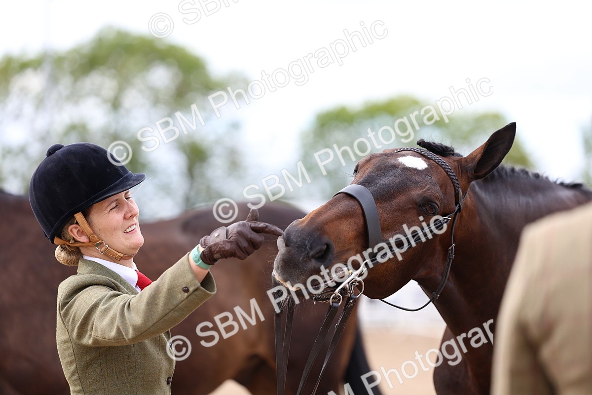 SBM_05775 - Class 28 - IH Veteran Horse