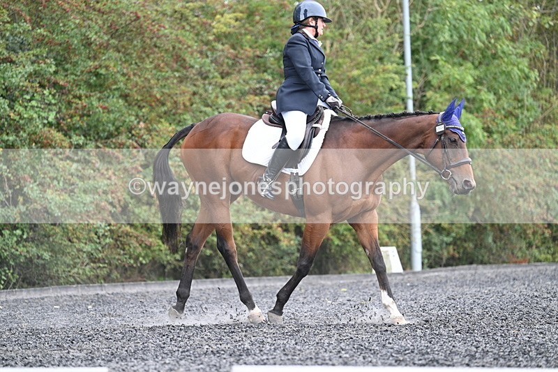 WJ7_4588 - Time 12:12 to 12:30