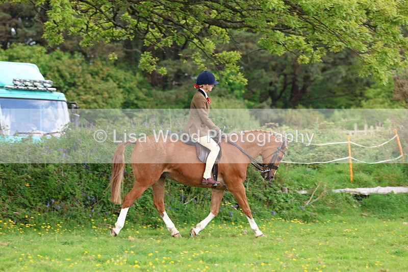 3E7A2071 - Class 11: Ridden Arab