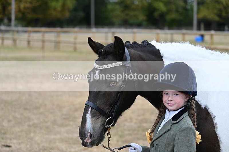 WJ7_9710 - Class 5 Most Handsome Gelding (up to 14.2hh)
