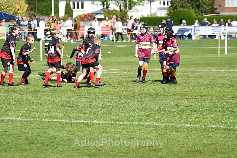  - Selby Rugby Festival 2025