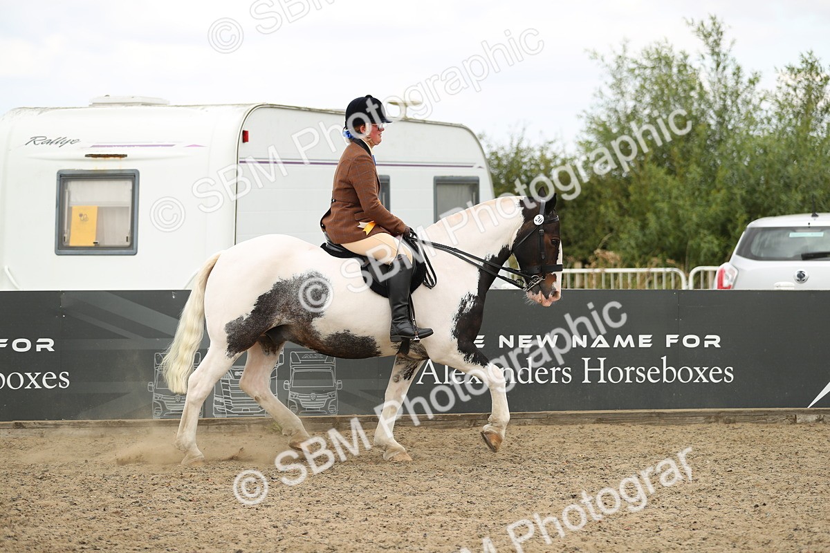 SBM_05291 - Class 47b Style & Performance 60cm (20+)