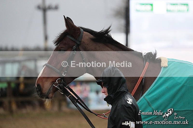 PtP 260125 960 - Cocklebarrow Point-to-Point racing with the Heythrop Hunt 26/01/25