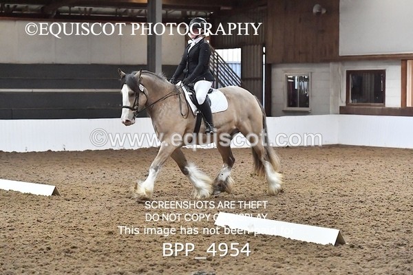 BPP_4954 - INTRO TEST 3