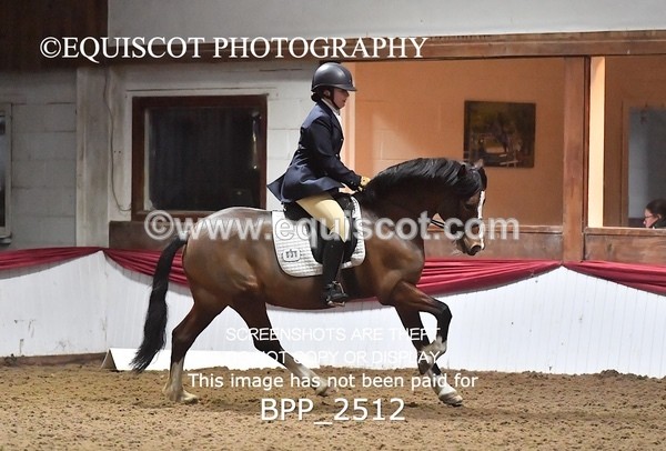 BPP_2512 - 31 - E CLARKSTON