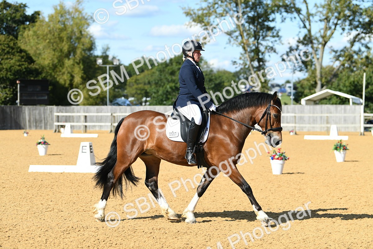 SBM_25009 - D13 - Grand Tour Championship - Prelim 12