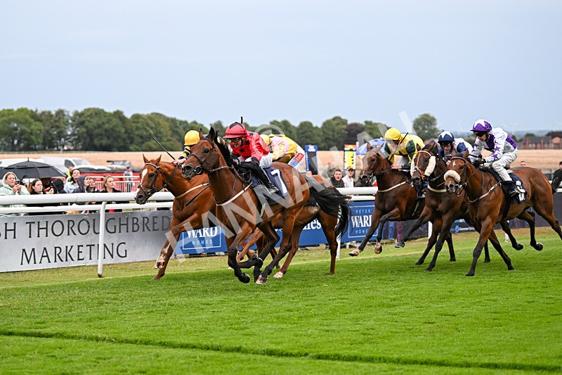 040725-Race 6-Sunny Orange-6103 - Race 6