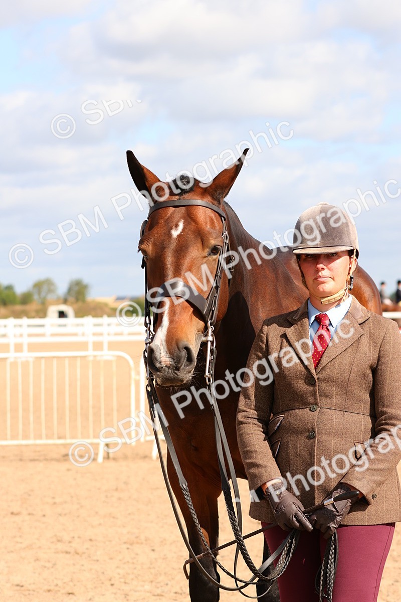 SBM_11738 - Class 208 - IH Veteran Horse