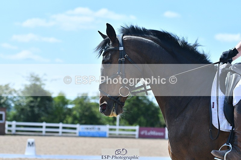 230520A-145602-01547 - Cls 7 Novice 34