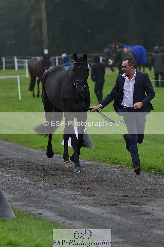 231018-120620-00079 - 060-COOKSTOWN.JACKSON-Alan.Nolan-TrotUp