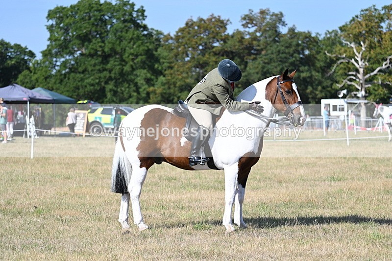 WJ7_2964 - Class 8 Ridden Tack & Turnout
