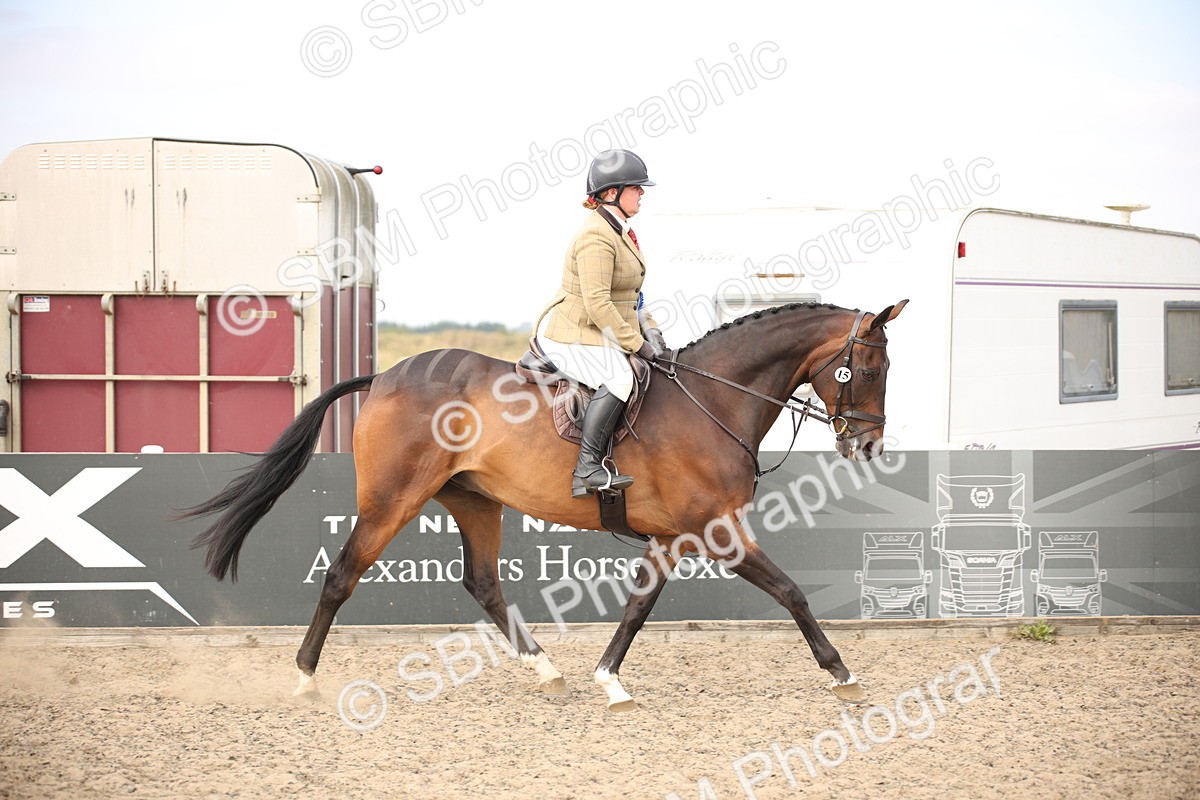 SBM_17332 - Class 410a - Wor5king Veteran 90cm (15-19)