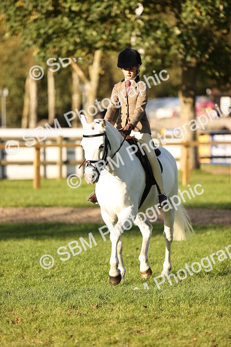 SBM_29624 - S7 - Novice & Newcomers Ridden Pony