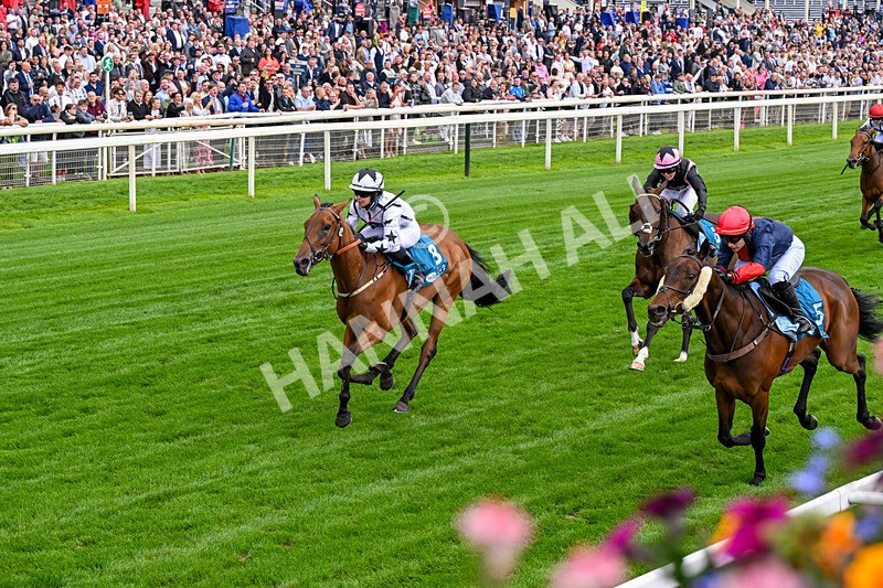 130626-Race 1-Dunkeld Dreamer-0325 - Race 1 13.50pm Queen Mother's Cup Handicap