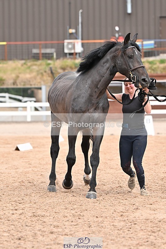 250716-153217-01985 - Trot Up 3.30 to 4.30
