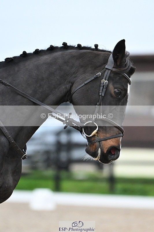 241103-153206-02878 - Prelim 2 - 14.41 to 15.51