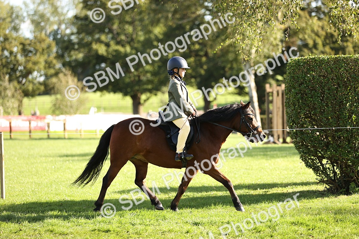 SBM_29340 - S7 - Novice & Newcomers Ridden Pony