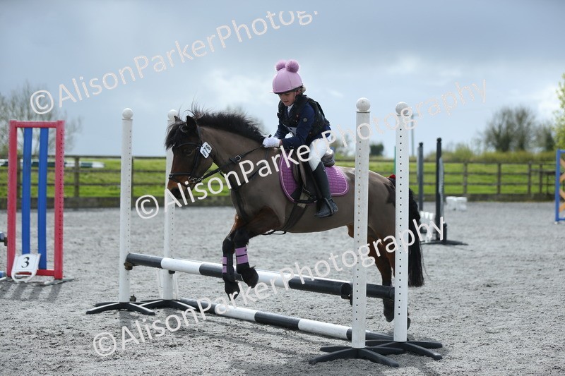 20260412-1760 - Show Jumping