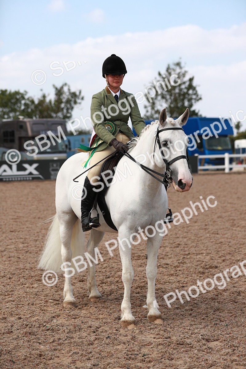 SBM_14929 - Class 212 Ridden Hunter - Small