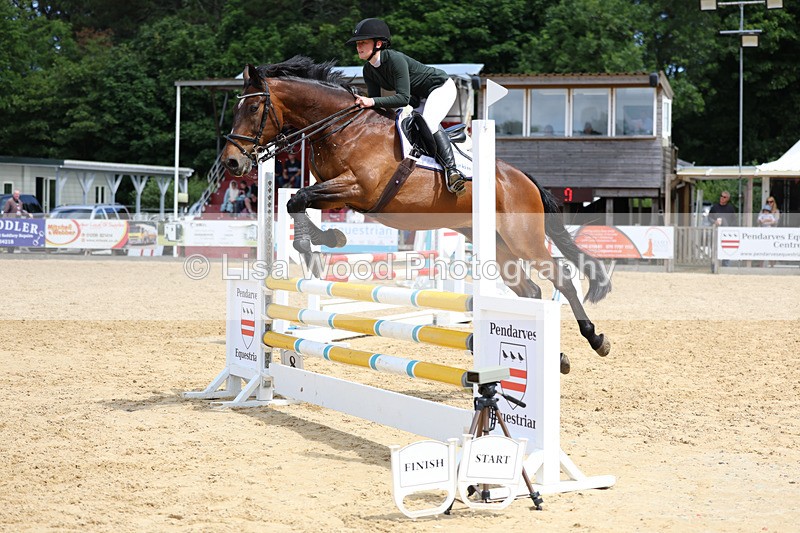 3E7A3278 - Class 4: Senior British Novice/90cm open