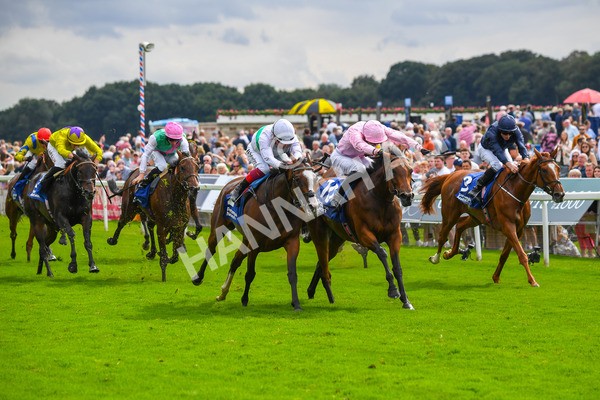 240823-Race 4-Warm Heart-0529 - Race 4 3.35pm Pertemps Network Yorkshire Oaks