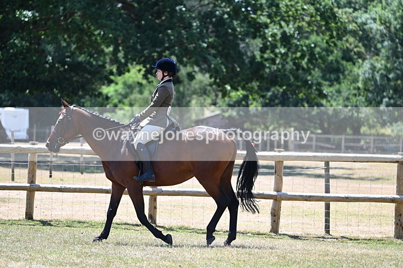 WJ7_2733 - Class 7 Riding Club Show Horse