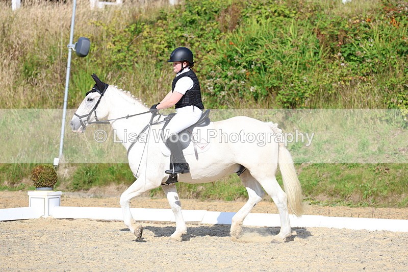 3E7A3341 - Class 2: Intro 1 2024 Section B