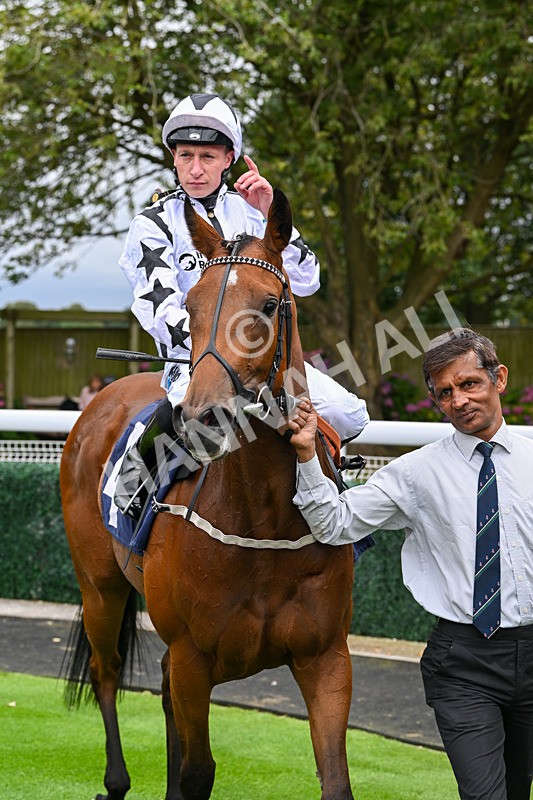 150824-Race 2-Greek Gift-7706 - Race 2