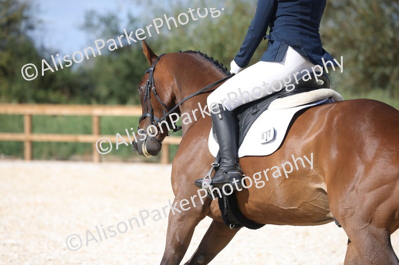 20260905-1479 - Class 5 - Novice 2