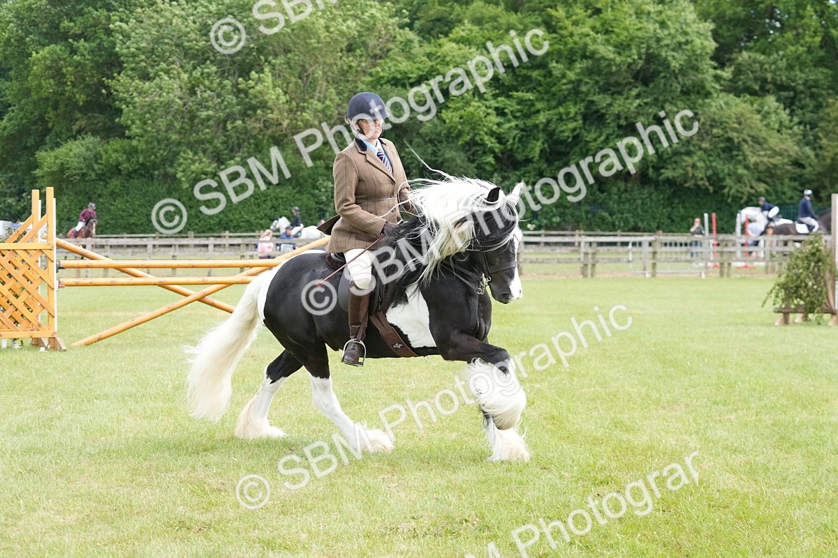 SBM_17283 - Class 107-108 - LIHS BSPS Performance Coloured Horse Pony