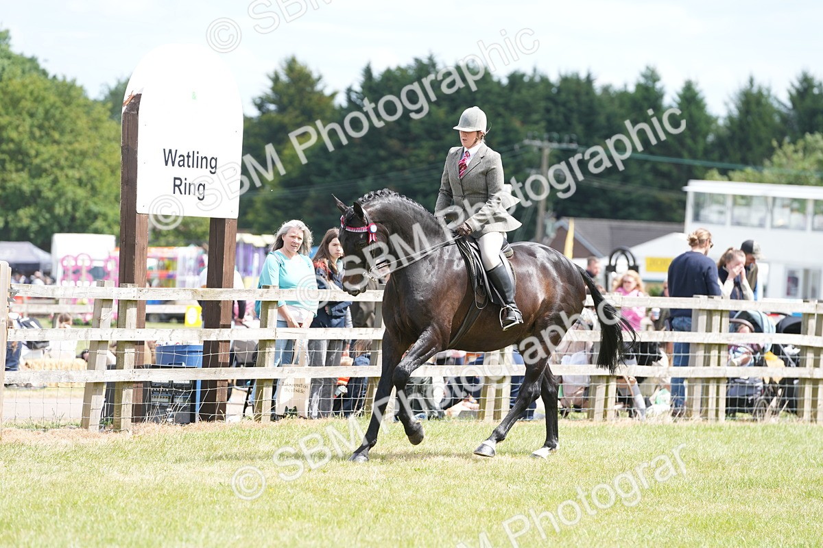SBM_16175 - Class 105-106 - RIHS Riding Horses