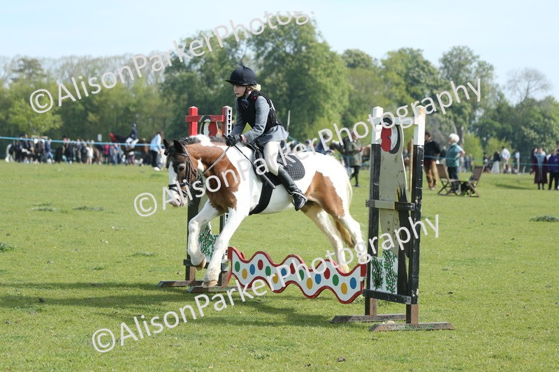 20260426-0197 - Class 13 - Rookie Jumping 50cm